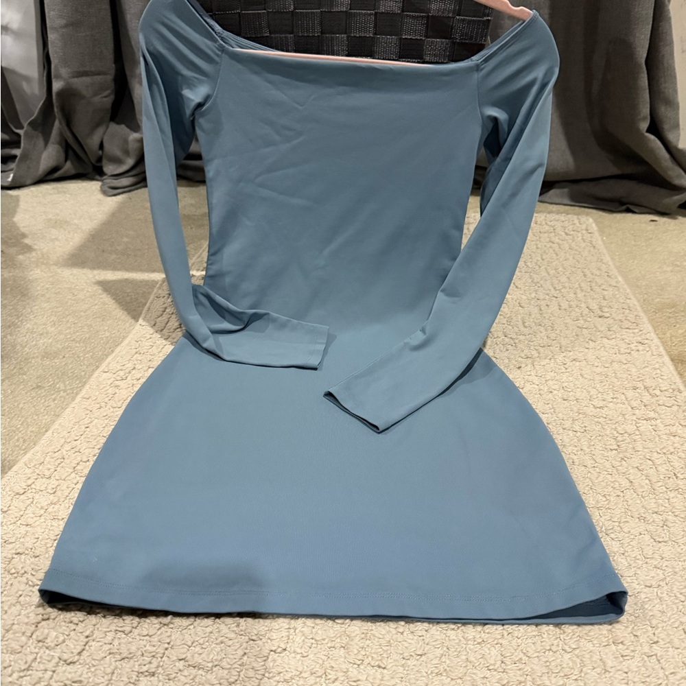 Aritzia Blue Long Sleeve Dress